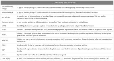 Ampulla of Vater carcinoma: advancement in the relationships between histological subtypes, molecular features, and clinical outcomes